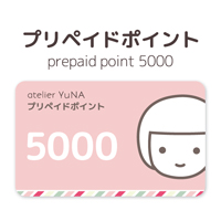 prepaid5000
